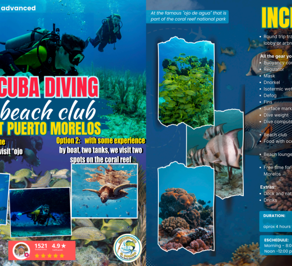 Captura de pantalla 2026-02-23 120715