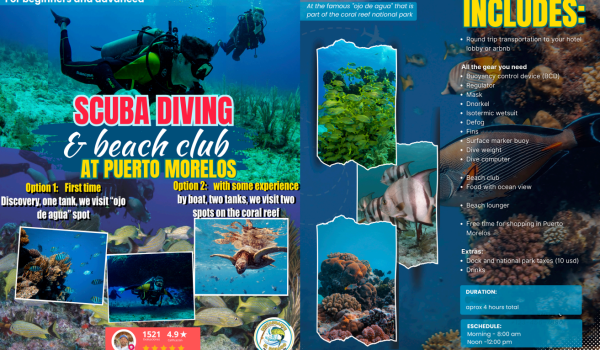 Captura de pantalla 2026-02-23 120715