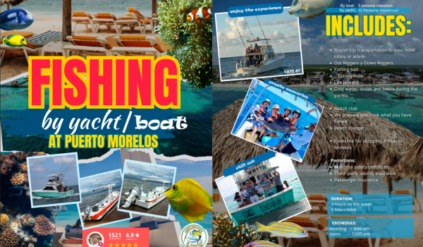 Captura de pantalla 2026-02-23 121349