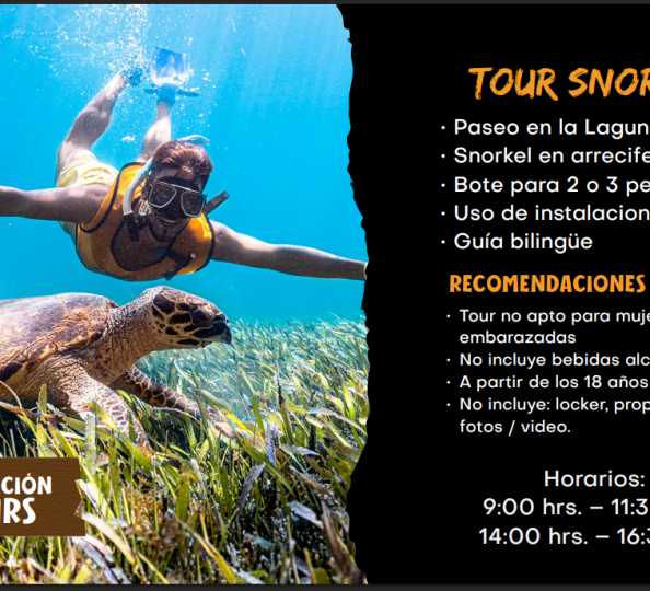 Captura de pantalla 2026-02-23 121845