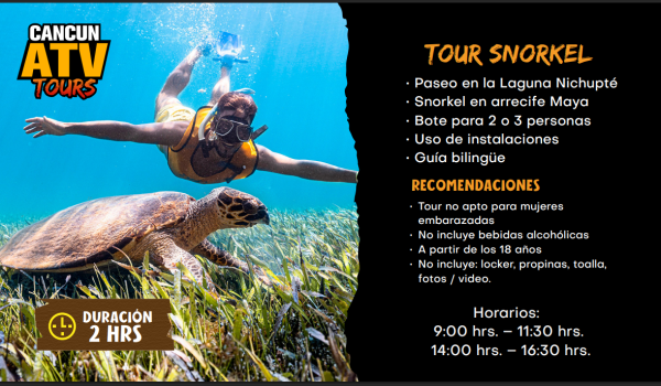 Captura de pantalla 2026-02-23 121845