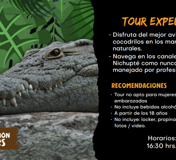 Captura de pantalla 2026-02-23 122455